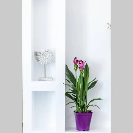 Apleton Apartment